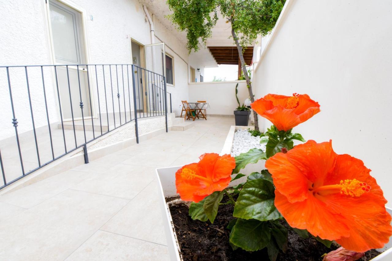B&B Macchia Mediterranea San Pietro in Bevagna Kültér fotó
